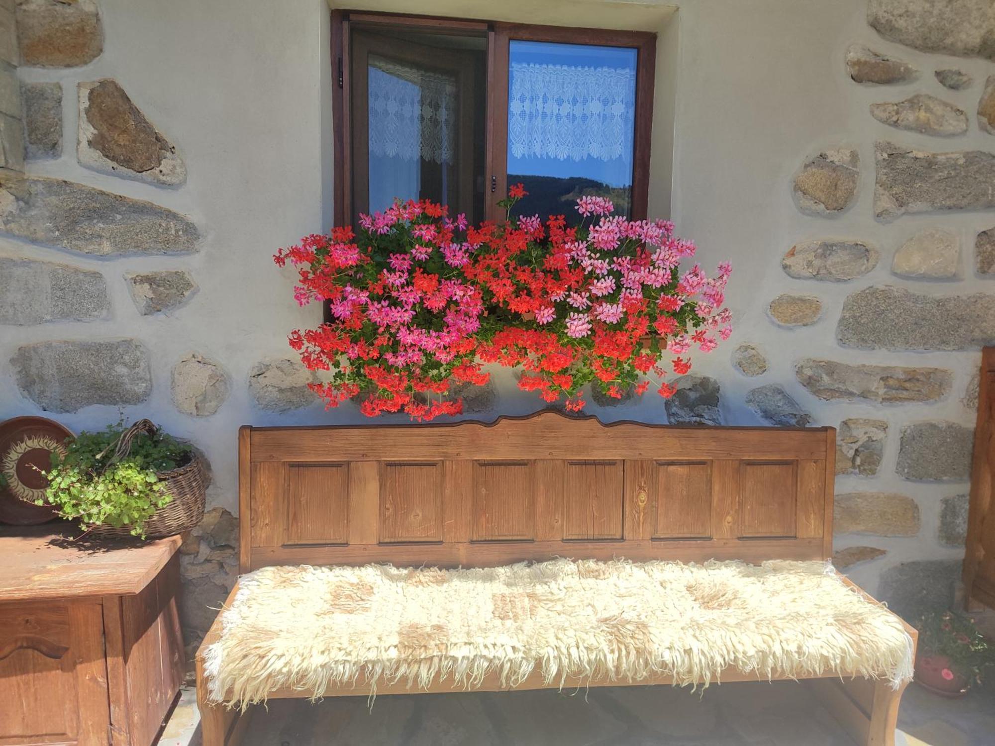 Hotel Радкината Къща Kopriwschtiza Exterior foto